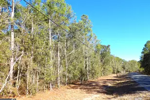 124 Cherokee Dr, Guyton, GA 31312 - Photo 4