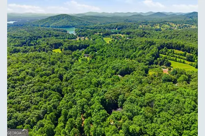 756 Gordon Thomas Road, Blairsville, GA 30512 - Photo 56