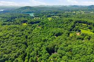 756 Gordon Thomas Rd, Blairsville, GA 30512 - Photo 56