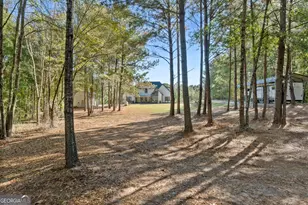 173 Dolly Nixon Rd, Senoia, GA 30276 - Photo 94