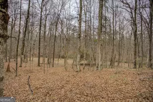 2049 Midway Church Rd, Newborn, GA 30056 - Photo 68