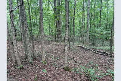 0 Attaway Road-9.22, Bowdon, GA 30108 - Photo 22