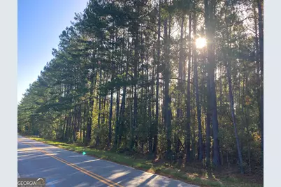 0 Mosley Road, Claxton, GA 30417 - Photo 4