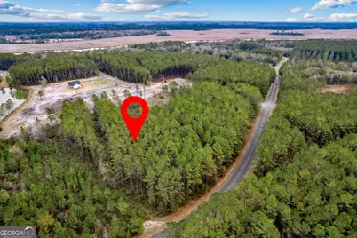 Lot 94 Waverly West Lane, White Oak, GA 31568 - Photo 8