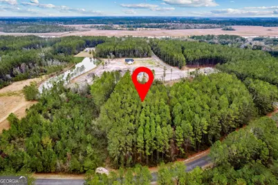 Lot 94 Waverly West Lane, White Oak, GA 31568 - Photo 6