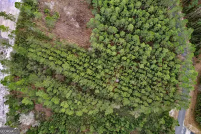 Lot 94 Waverly West Lane, White Oak, GA 31568 - Photo 2