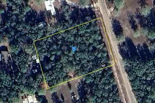 200 Gobblers Run, Nahunta, GA 31553 - Photo 1