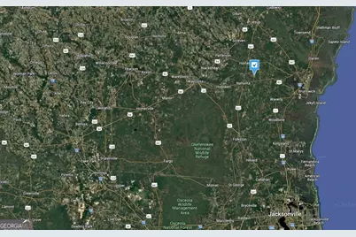 200 Gobblers Run, Nahunta, GA 31553 - Photo 6