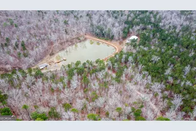 735 Firetower Road, Thomaston, GA 30286 - Photo 54