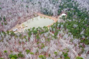 735 Firetower Rd, Thomaston, GA 30286 - Photo 54