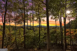 5240 Squirrel Hunting Rd, Morganton, GA 30560 - Photo 28