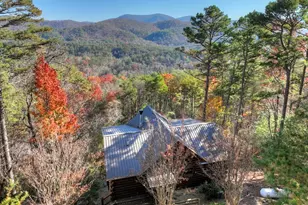 146 Rosiey Ln, Blue Ridge, GA 30513 - Photo 42