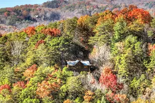 146 Rosiey Ln, Blue Ridge, GA 30513 - Photo 2