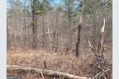 1060 Dejarnet Place, Greensboro, GA 30642 - Photo 10