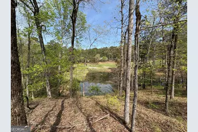 1060 Dejarnet Place, Greensboro, GA 30642 - Photo 14