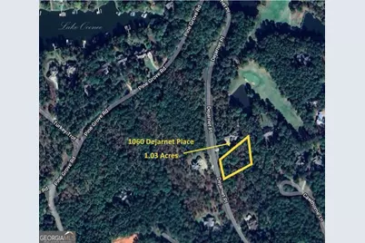 1060 Dejarnet Place, Greensboro, GA 30642 - Photo 12