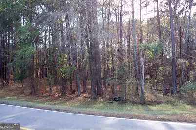 2991 Carey Station Road, Greensboro, GA 30642 - Photo 10