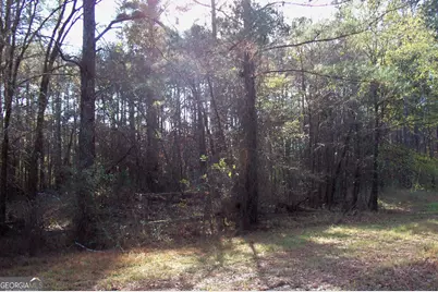 2991 Carey Station Road, Greensboro, GA 30642 - Photo 16