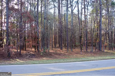 2991 Carey Station Road, Greensboro, GA 30642 - Photo 6