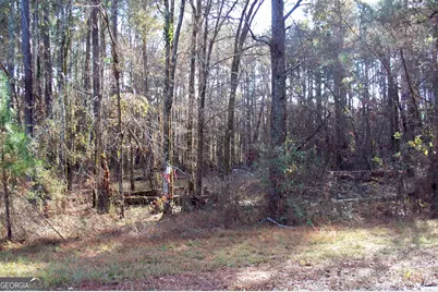 2991 Carey Station Road, Greensboro, GA 30642 - Photo 14