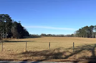 910 Line Creek Rd, Senoia, GA 30276 - Photo 6