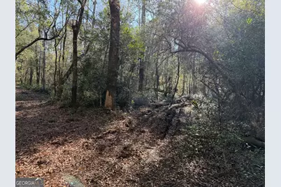 3833 Old Louisville Road, Guyton, GA 31312 - Photo 2