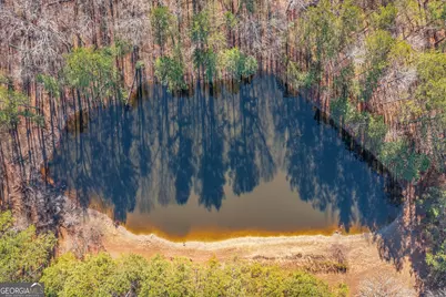 176 Corley Place, Dallas, GA 30132 - Photo 16