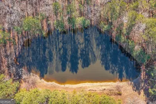 176 Corley Pl, Dallas, GA 30132 - Photo 16