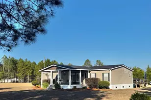 4037 Fairhaven Dr, Collins, GA 30421 - Photo 4