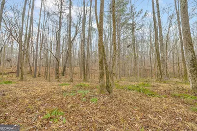 2460 Antioch Church Road, Watkinsville, GA 30677 - Photo 38