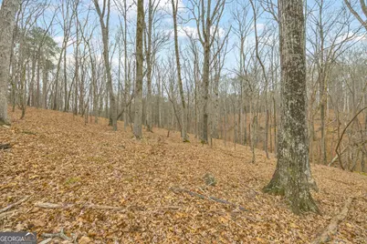 2460 Antioch Church Road, Watkinsville, GA 30677 - Photo 34