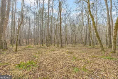 2460 Antioch Church Road, Watkinsville, GA 30677 - Photo 42