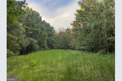 0 Caney Head Road, Roopville, GA 30170 - Photo 10