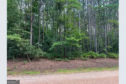 0 Caney Head Road, Roopville, GA 30170 - Photo 12