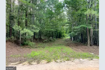 0 Caney Head Road, Roopville, GA 30170 - Photo 18