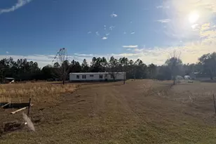 1180 Farm Rd, Saint George, GA 31562 - Photo 1