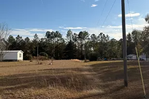 1180 Farm Rd, Saint George, GA 31562 - Photo 8