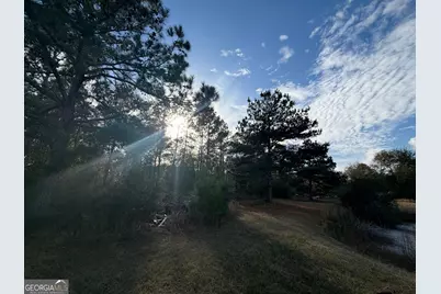 1180 Farm Road, Saint George, GA 31562 - Photo 6