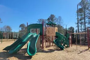 314 Friendship Oak Wy, Hampton, GA 30228 - Photo 30