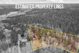 247 Tinica Way, Newnan, GA 30263 - Photo 2