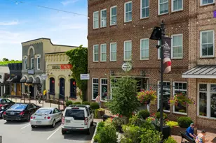 345 Staffin Dr, Senoia, GA 30276 - Photo 74