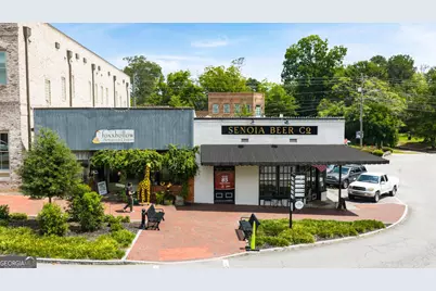 345 Staffin Drive, Senoia, GA 30276 - Photo 76