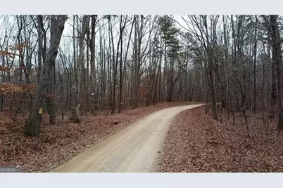 0 Treat Mountain Road, Cedartown, GA 30125 - Photo 6