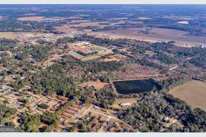 0 Randall Whiddon Drive, Ashburn, GA 31714 - Photo 4