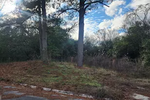 2573 Peacock St, Macon, GA 31206 - Photo 1