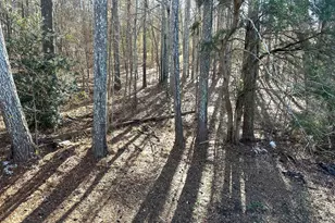 1166 &amp 1148 S Walker's Mill Rd, Griffin, GA 30224 - Photo 42