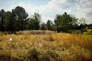 841 Griffin Rd, Baxley, GA 31513 - Photo 1