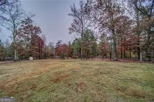 53 Black Rd NE, White, GA 30184 - Photo 4