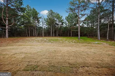 98 Mud Bridge Road, The Rock, GA 30285 - Photo 36
