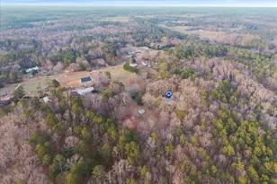 229 Meadows Rd, Newborn, GA 30056 - Photo 38